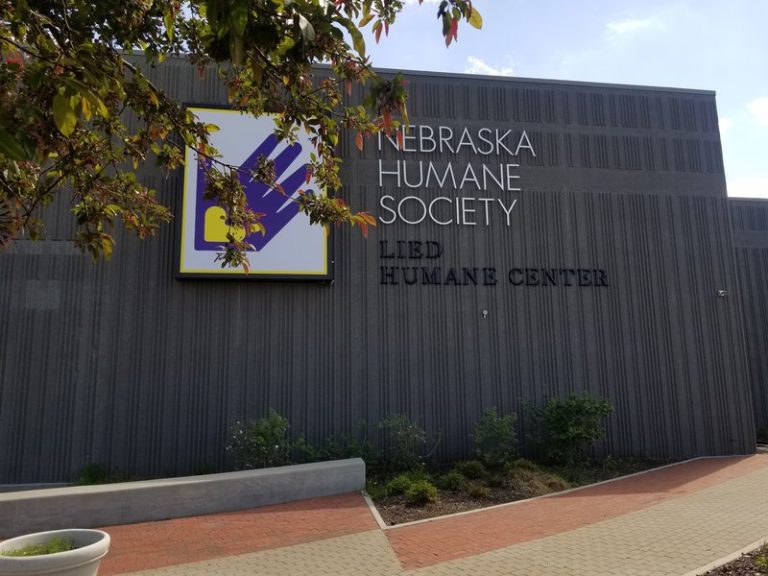 Nebraska Humane Society working to support pets impacted by Texas floods