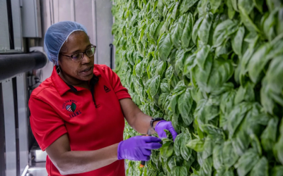 USDA cancela apoyo y agricultora del Medio Oeste en riesgo