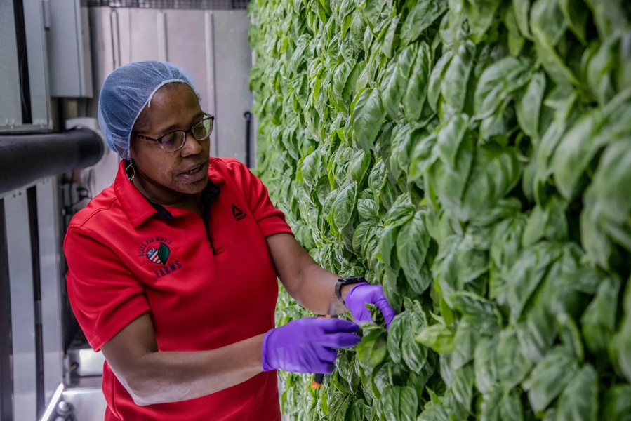 USDA canceled a support program for small businesses. This Midwest grower may lose her farm