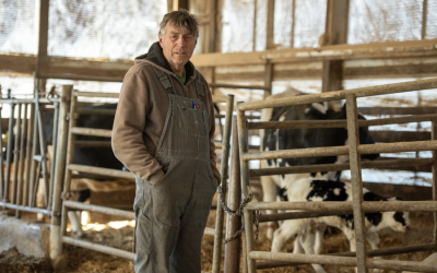 Los agricultores están desesperados por trabajadores. Quieren que Trump facilite la contratación de mano de obra extranjera