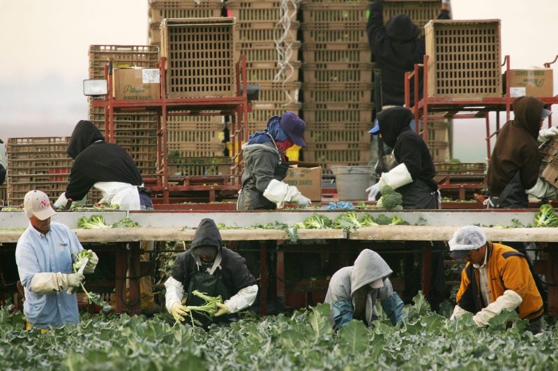 Proyecto de ley de trabajadores invitados en Nebraska recibe reacciones mixtas (2026)