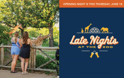 Omaha zoo opens its summer nights to adults