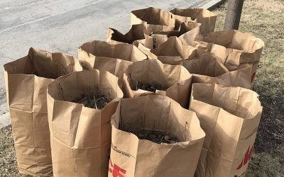 Omaha Free Yard Waste Collection Starts Oct. 26: Rules and Dates