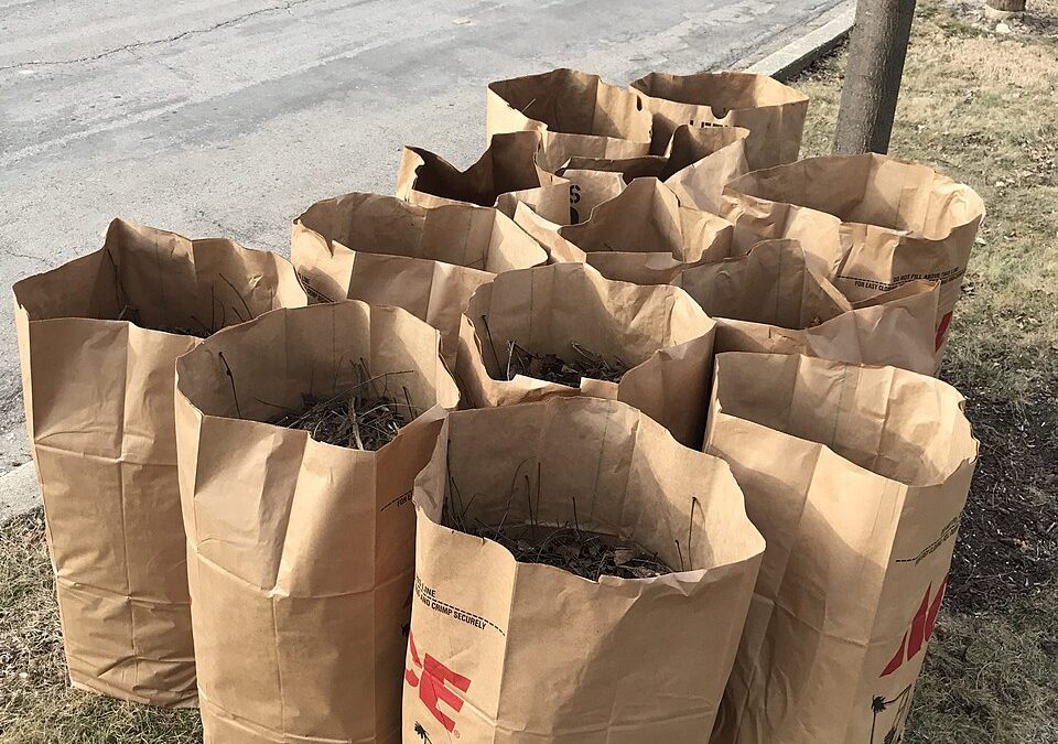 Brown paper yard waste bags standing beside a curb, ready for collection. Hojas en bolsas.